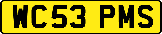 WC53PMS