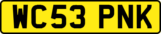 WC53PNK