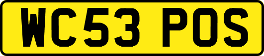 WC53POS