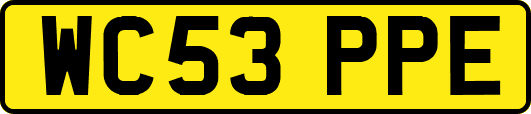 WC53PPE