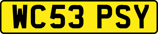 WC53PSY