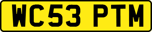 WC53PTM