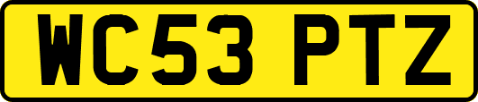 WC53PTZ
