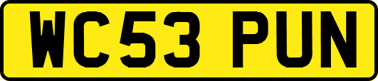 WC53PUN