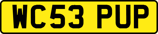 WC53PUP