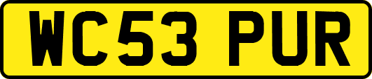 WC53PUR