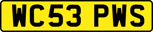 WC53PWS