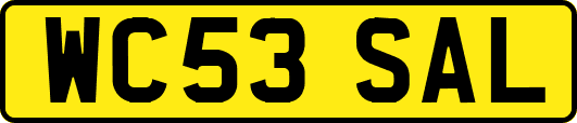 WC53SAL