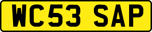WC53SAP