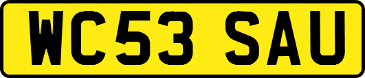 WC53SAU