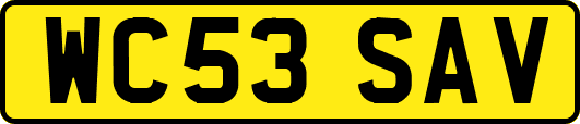 WC53SAV