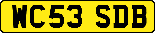 WC53SDB