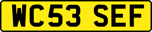 WC53SEF