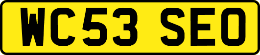 WC53SEO