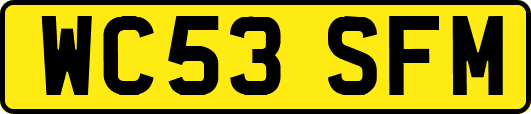WC53SFM