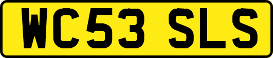 WC53SLS