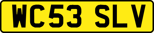 WC53SLV