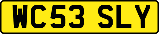 WC53SLY