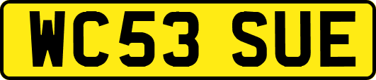 WC53SUE