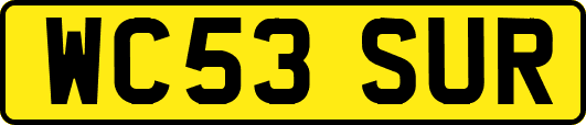 WC53SUR
