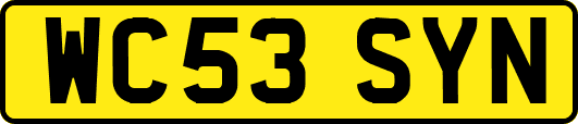 WC53SYN