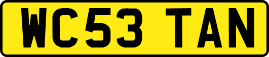 WC53TAN