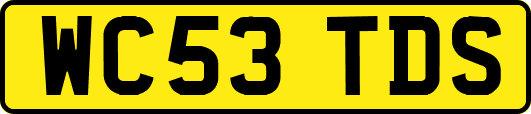 WC53TDS
