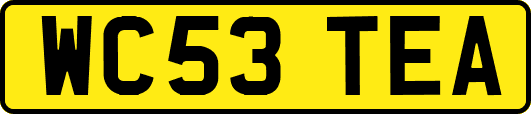 WC53TEA