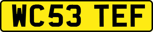WC53TEF