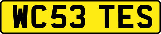 WC53TES