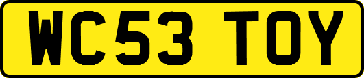 WC53TOY
