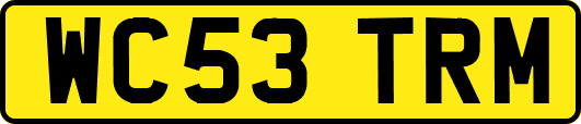WC53TRM