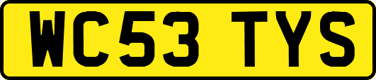 WC53TYS