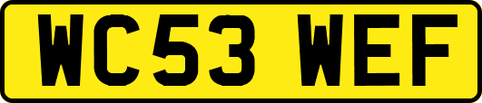 WC53WEF