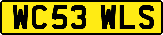 WC53WLS