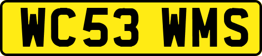 WC53WMS