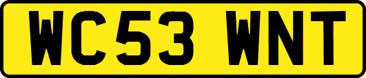 WC53WNT