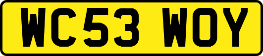 WC53WOY