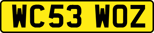 WC53WOZ