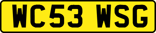 WC53WSG