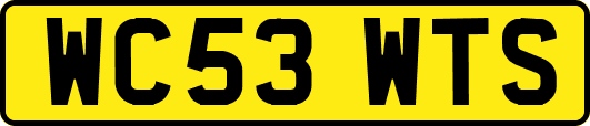 WC53WTS