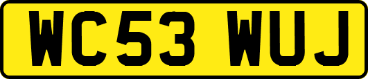 WC53WUJ