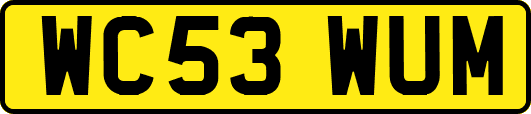WC53WUM