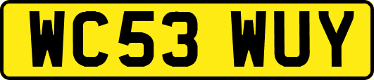 WC53WUY