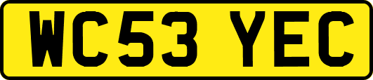 WC53YEC