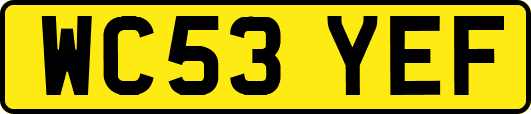 WC53YEF