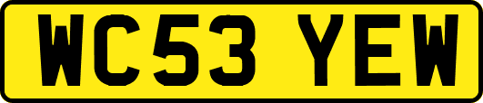 WC53YEW