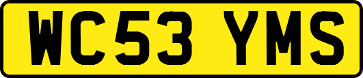 WC53YMS