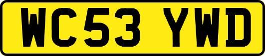 WC53YWD