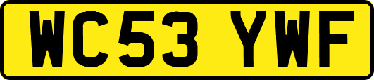 WC53YWF